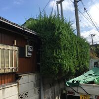 画像1288